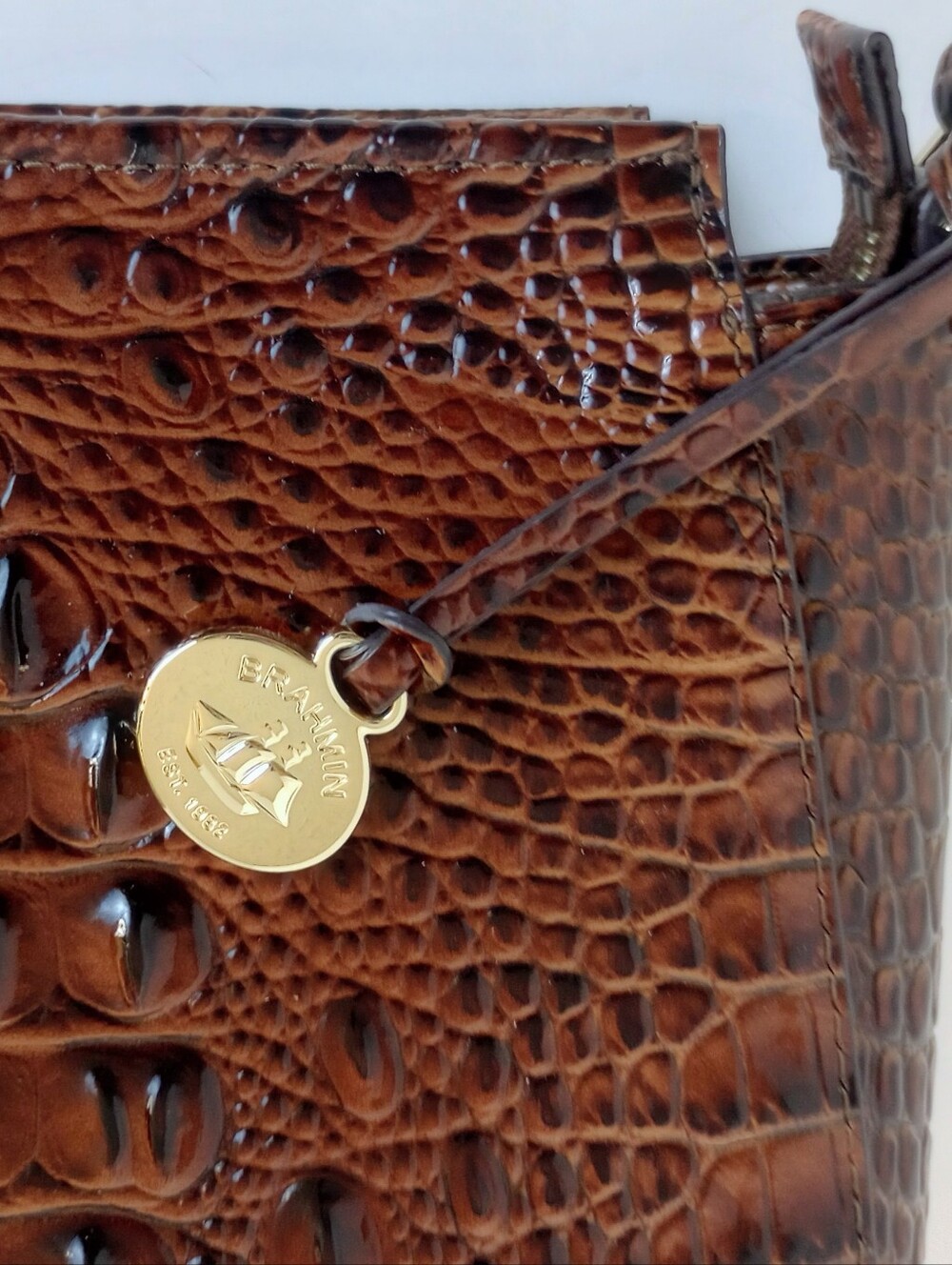SOLD Brahmin Hillary Pecan Melbourne Croc Embossed Leather Crossbody Bag - Picture 5 of 13